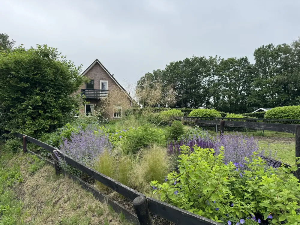 Beplanting in een tuin van Goud Groen Tuinen
