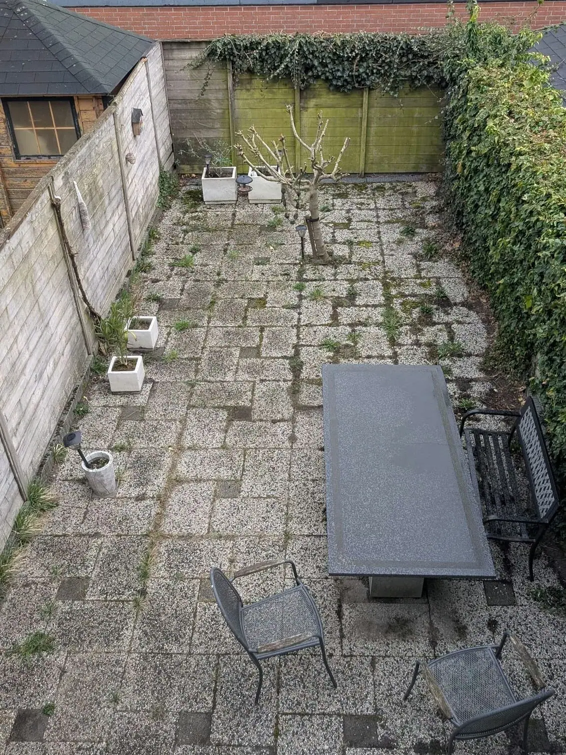Renovatie achtertuin Assen: Volledige renovatie