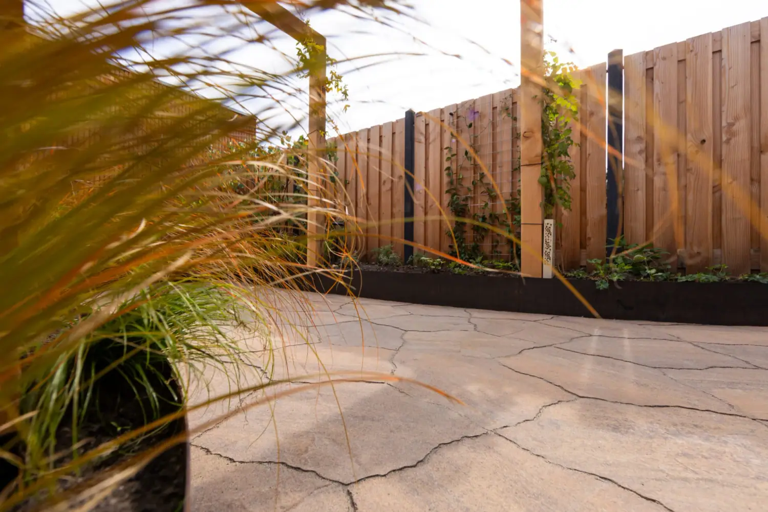 Renovatie achtertuin Assen