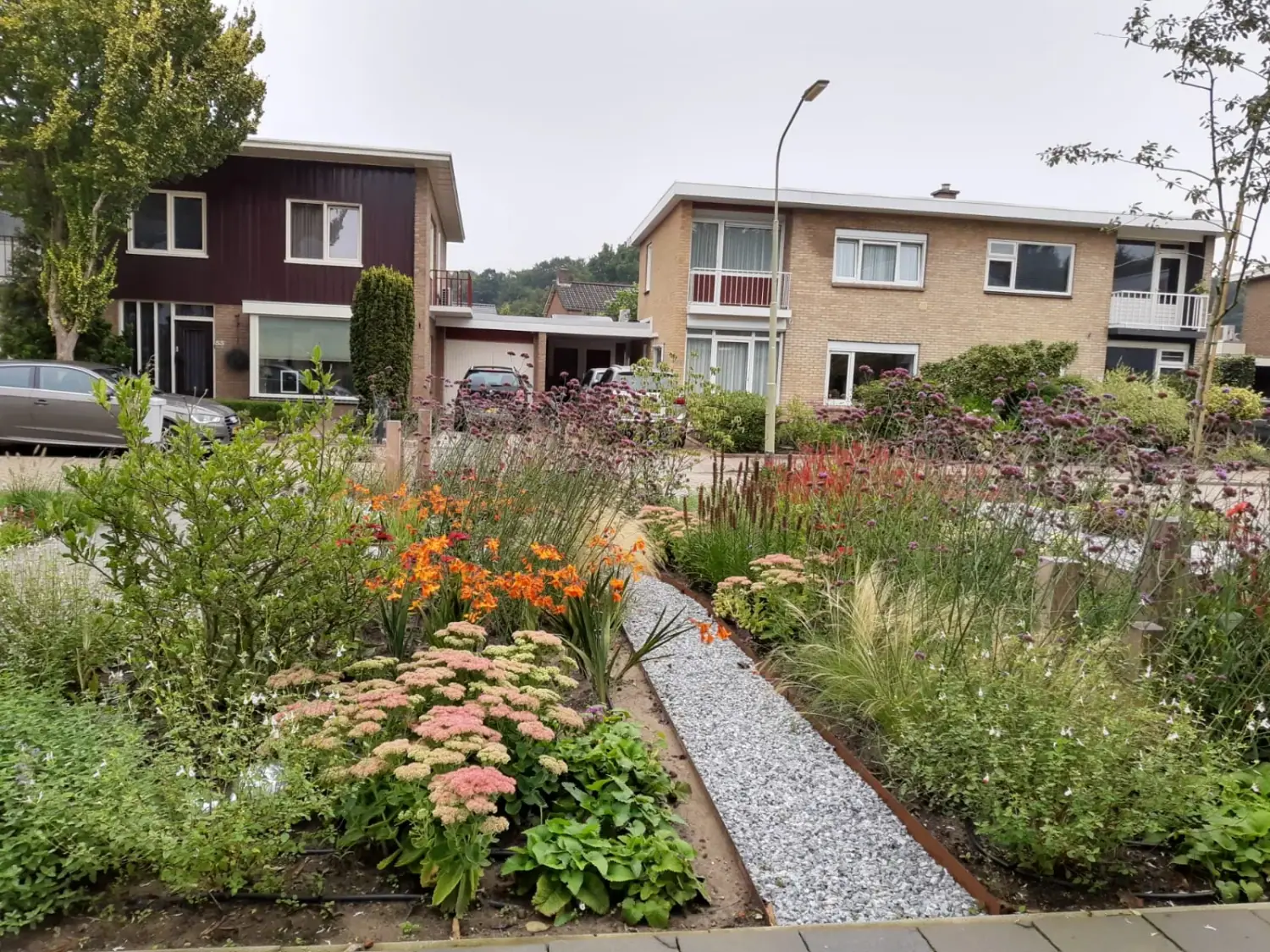 Tuinaanleg Voortuin Emmen