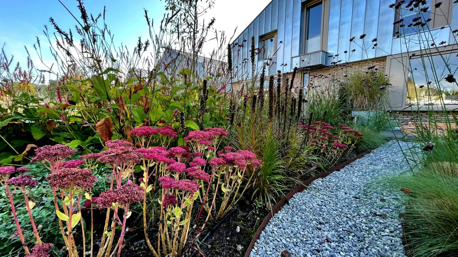 Tuinaanleg Voortuin Emmen: Beplanting