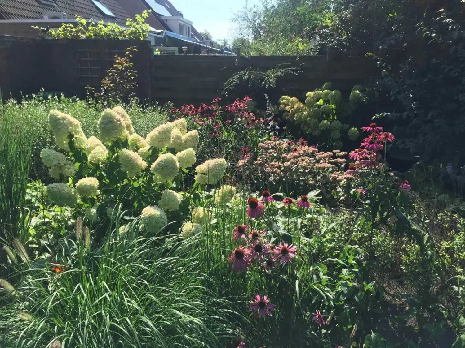 Tuinrenovatie achtertuin Rolde: Herinrichting en hergebruik