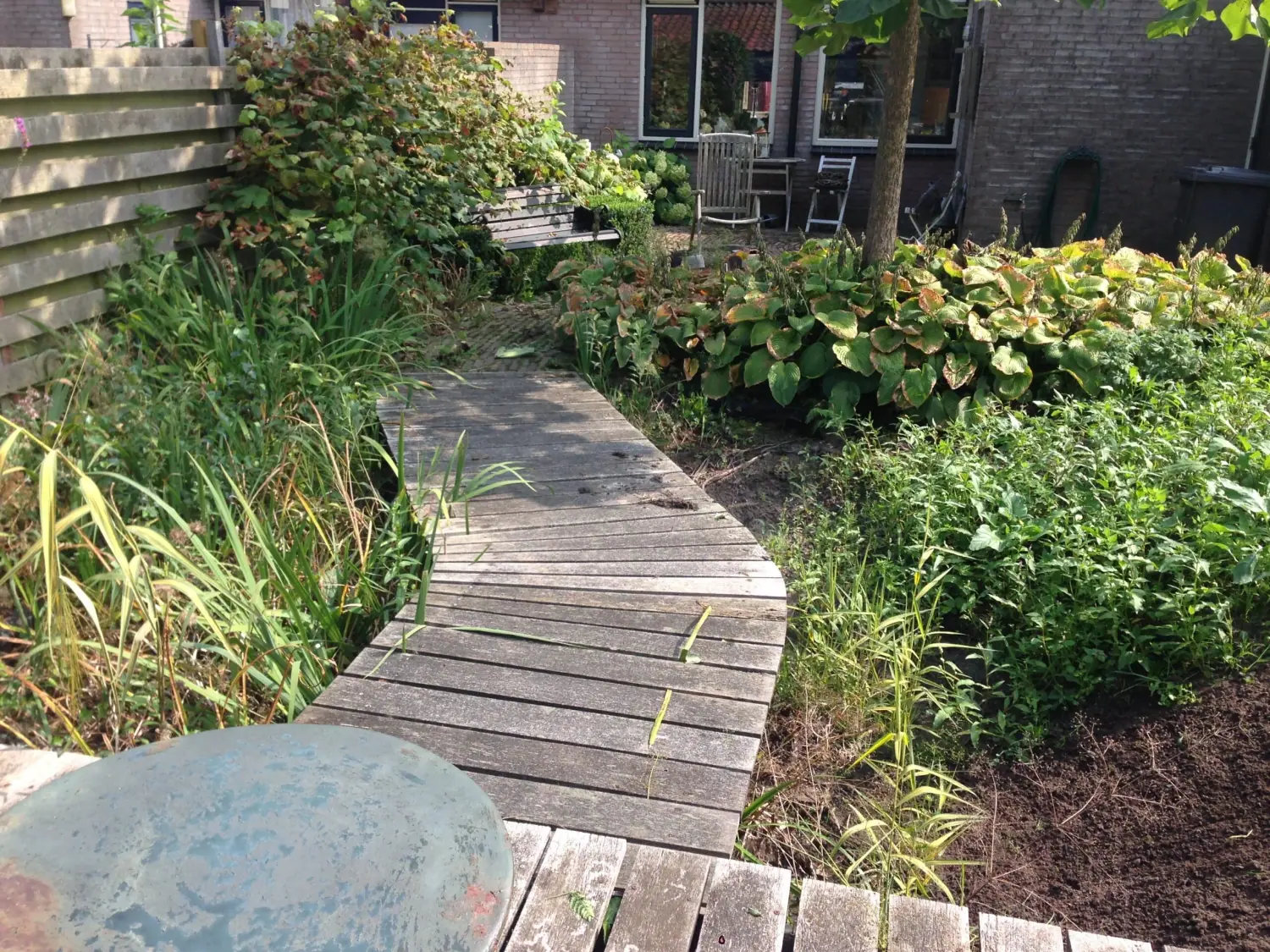 Tuinrenovatie achtertuin Rolde: Wadi en beplanting
