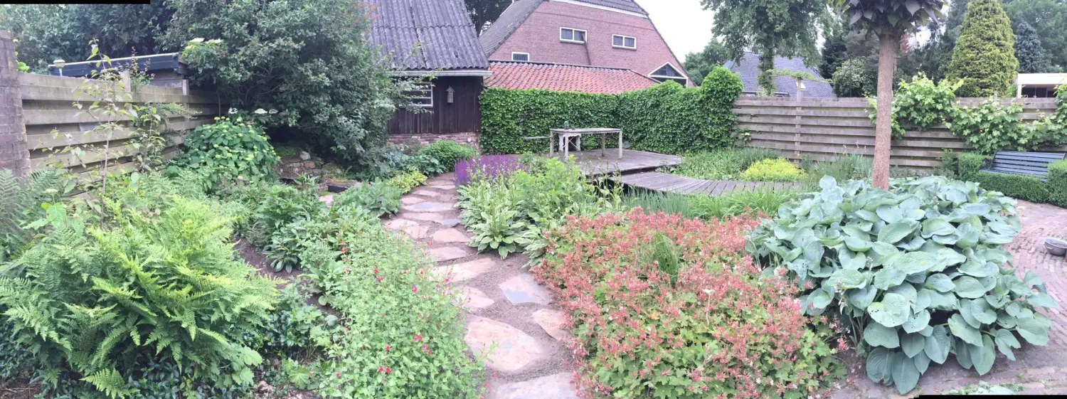 Tuinrenovatie achtertuin Rolde: Beplanting