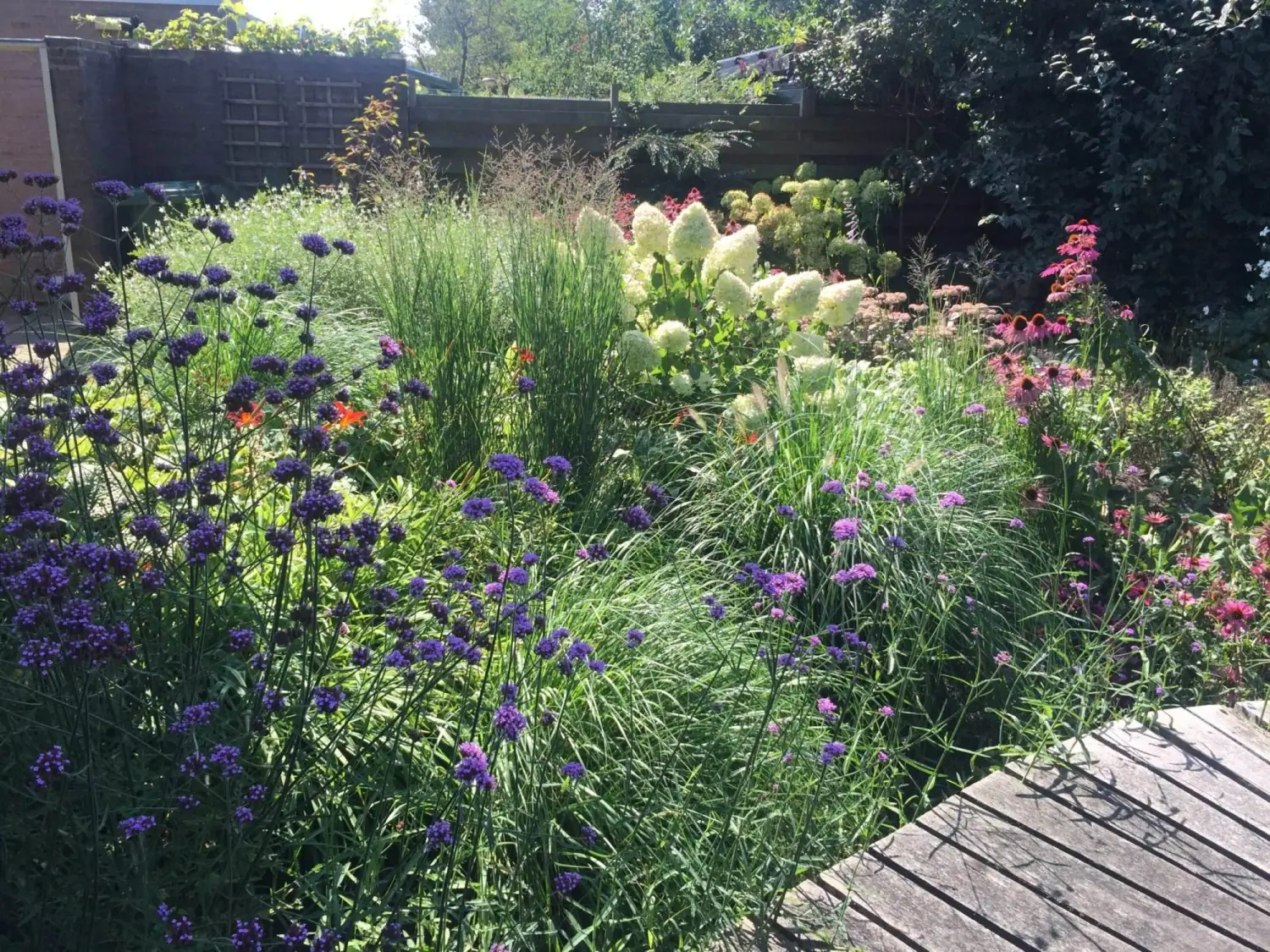 Tuinrenovatie achtertuin Rolde