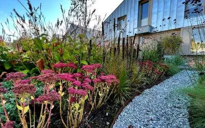 Tuinaanleg Voortuin Emmen