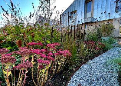 Tuinaanleg Voortuin Emmen