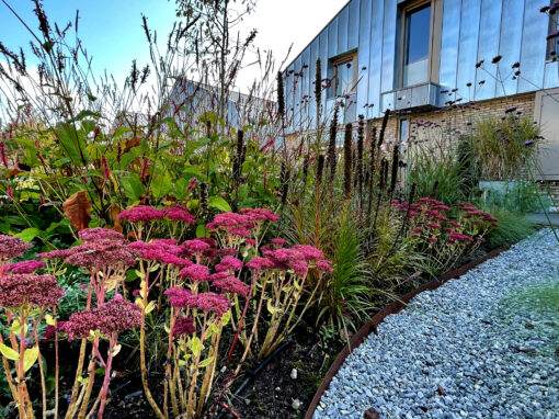 Tuinaanleg Voortuin Emmen