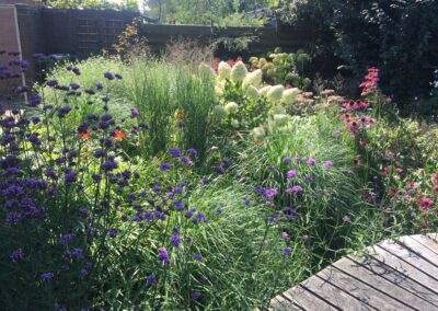 Tuinrenovatie achtertuin Rolde