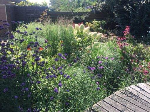 Tuinrenovatie achtertuin Rolde