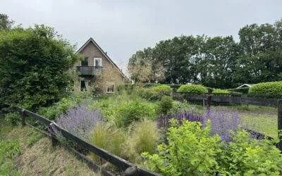 Aanleg borders en beplanting