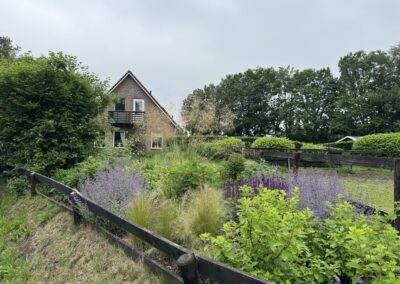 Aanleg borders en beplanting