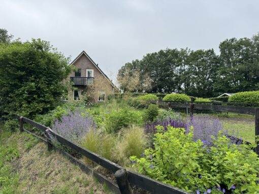Aanleg borders en beplanting