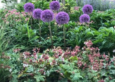 Aanleg voortuin nieuwbouw woning Nooitgedacht