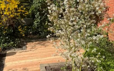 Stadstuin Groningen aanleg