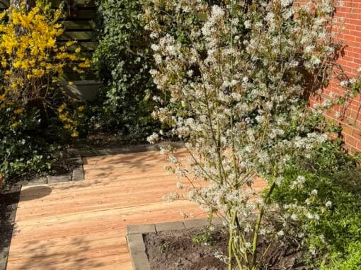 Stadstuin Groningen aanleg